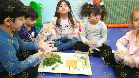 کارگروهی و آشنایی با سبزیجات