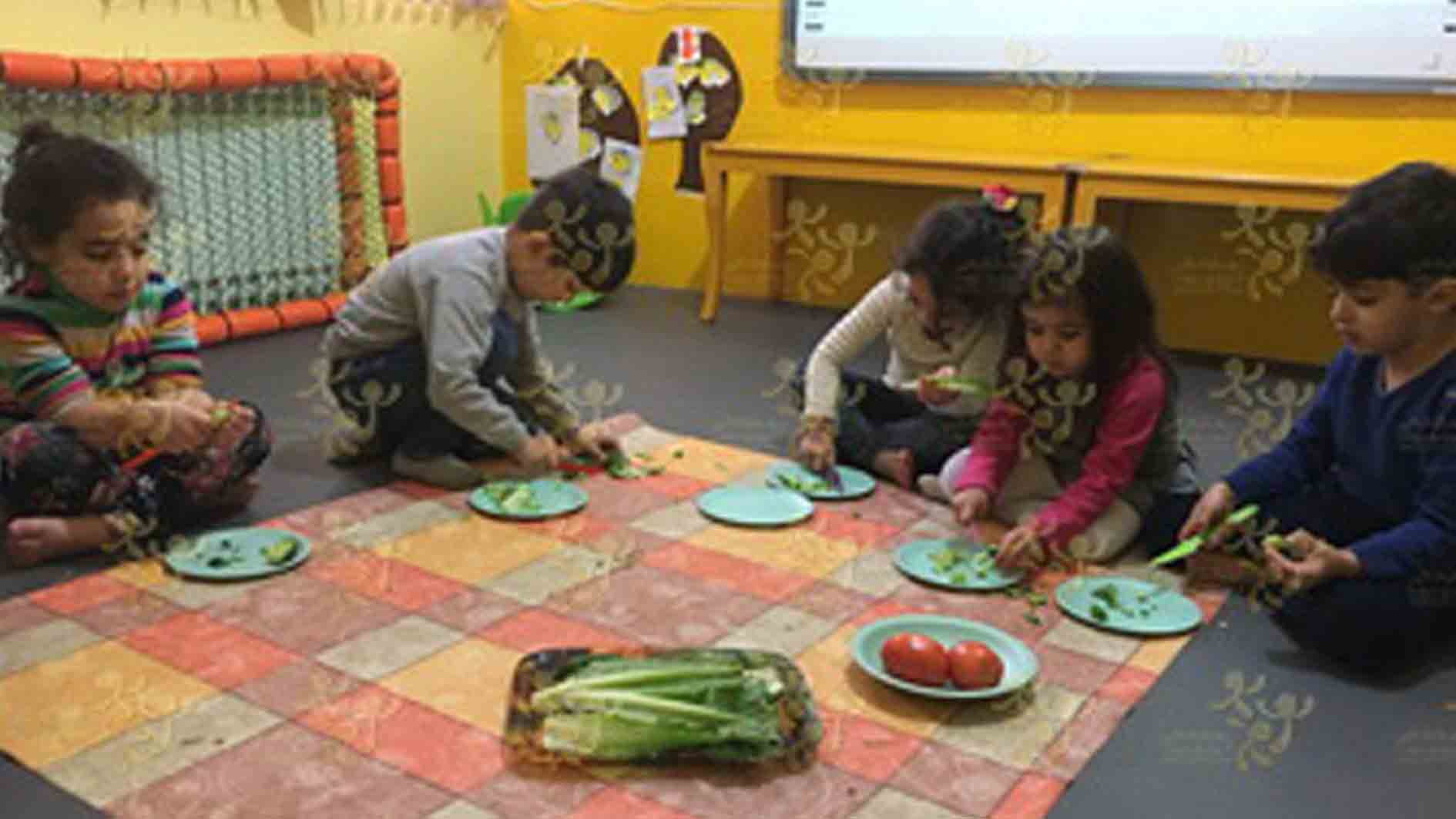 آشنایی باسبزیجات و آشنایی باخوراکیهای سالم برای سرو همراه  باغذا سالاد فصل تقویت مهارتهای حرکتی جدید