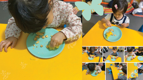 آشنایی-با-غذا-خوردن-پرندگان