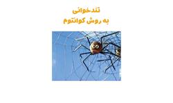تند‌خوانی به روش کوانتم
