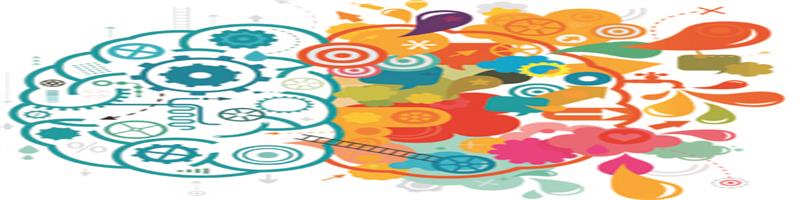 نیمکره های مغز