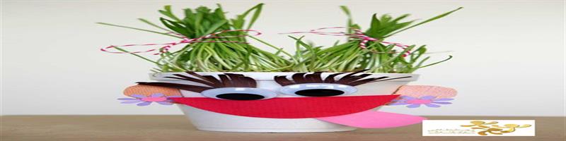 آموزش سبزه آدمک