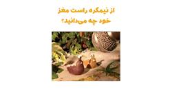 از نیمکره راست مغز خود چه می‌دانید؟