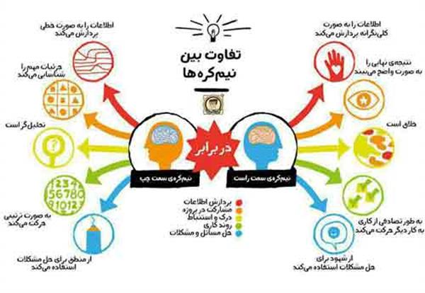 تفاوت نیمکره راست و نیمکره چپ؛