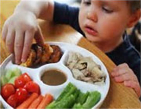 راهنمای برنامه غذایی کودکان (6-2)سال